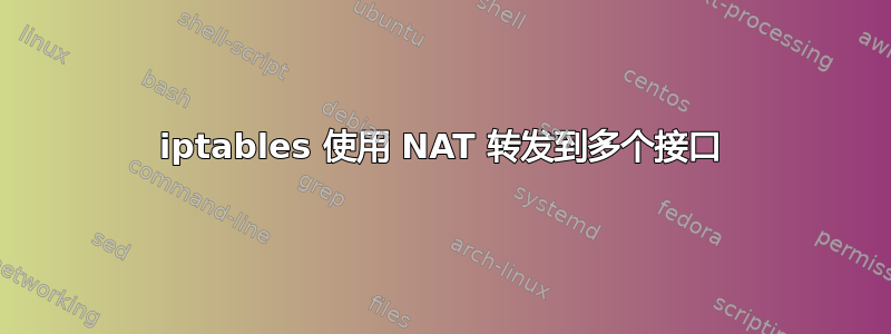 iptables 使用 NAT 转发到多个接口