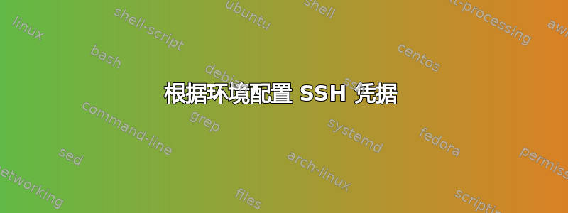 根据环境配置 SSH 凭据