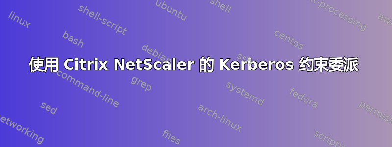 使用 Citrix NetScaler 的 Kerberos 约束委派