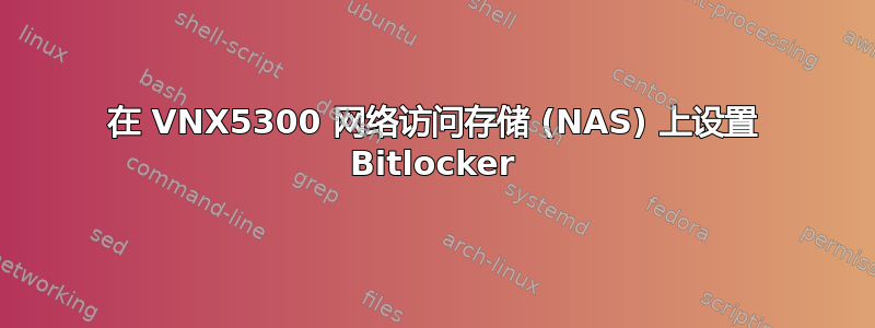 在 VNX5300 网络访问存储 (NAS) 上设置 Bitlocker