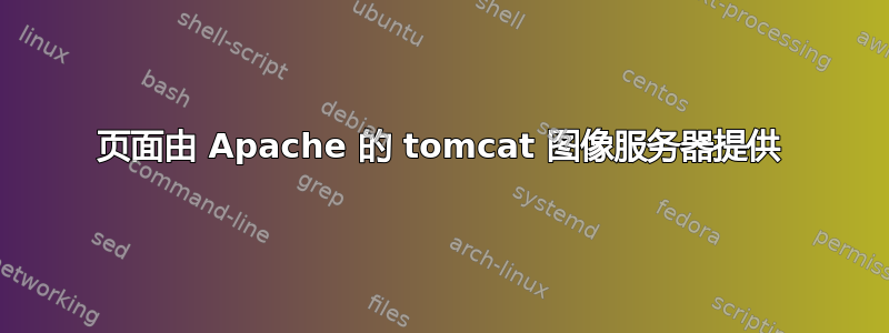 页面由 Apache 的 tomcat 图像服务器提供