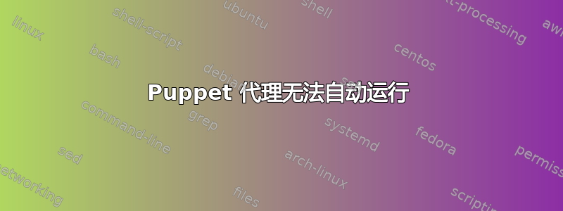 Puppet 代理无法自动运行