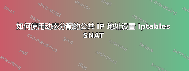 如何使用动态分配的公共 IP 地址设置 Iptables SNAT