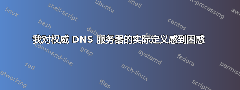 我对权威 DNS 服务器的实际定义感到困惑