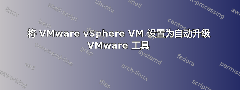 将 VMware vSphere VM 设置为自动升级 VMware 工具