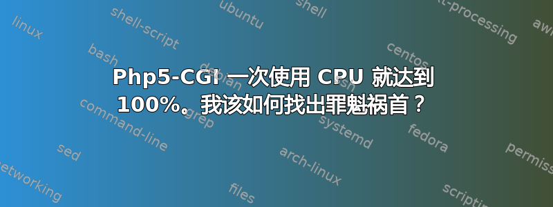 Php5-CGI 一次使用 CPU 就达到 100%。我该如何找出罪魁祸首？