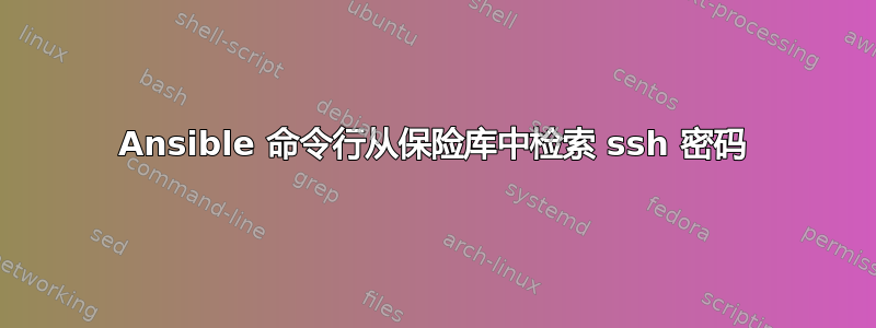 Ansible 命令行从保险库中检索 ssh 密码