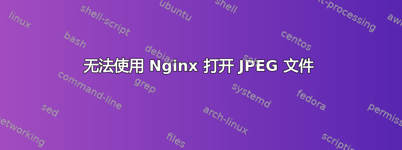 无法使用 Nginx 打开 JPEG 文件