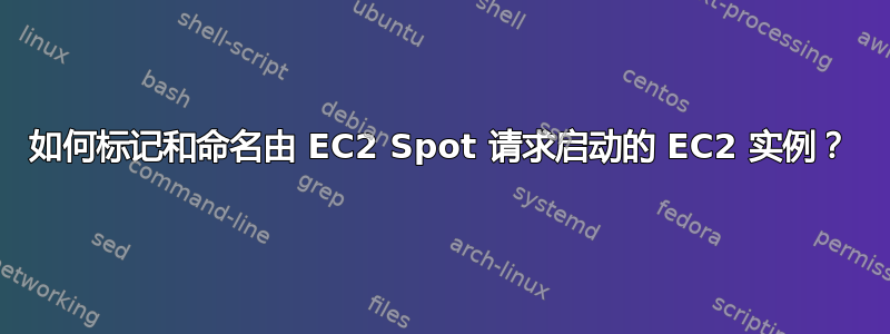 如何标记和命名由 EC2 Spot 请求启动的 EC2 实例？