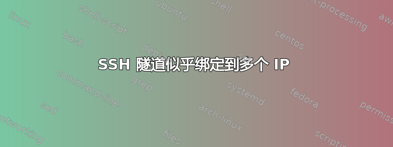 SSH 隧道似乎绑定到多个 IP