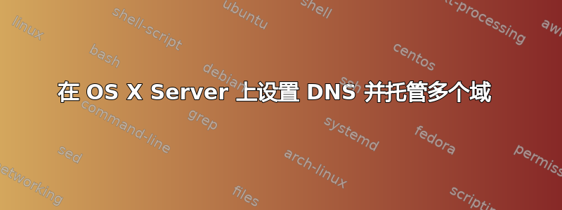 在 OS X Server 上设置 DNS 并托管多个域 