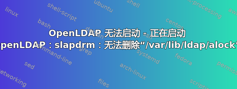 OpenLDAP 无法启动 - 正在启动 OpenLDAP：slapdrm：无法删除“/var/lib/ldap/alock”