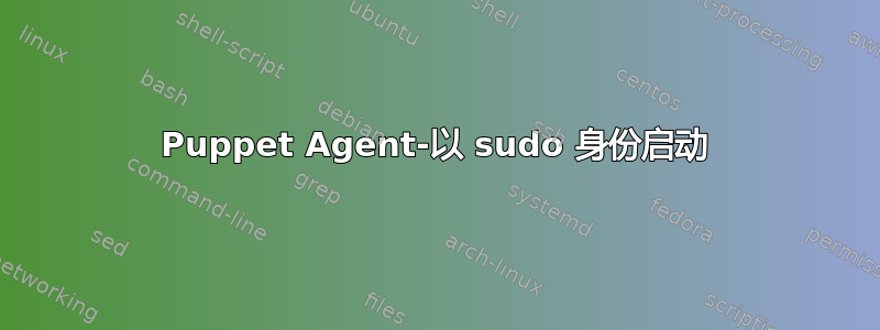 Puppet Agent-以 sudo 身份启动