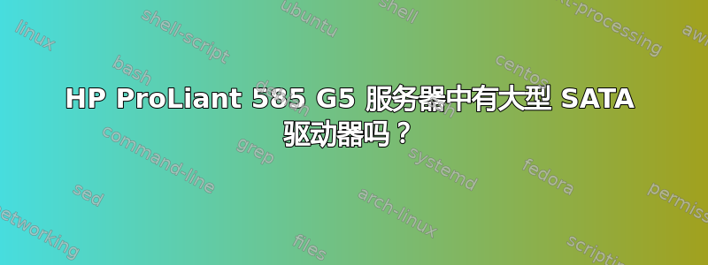 HP ProLiant 585 G5 服务器中有大型 SATA 驱动器吗？