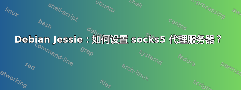 Debian Jessie：如何设置 socks5 代理服务器？