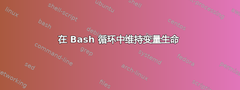 在 Bash 循环中维持变量生命