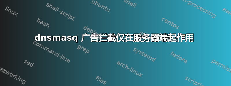 dnsmasq 广告拦截仅在服务器端起作用