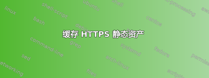 缓存 HTTPS 静态资产