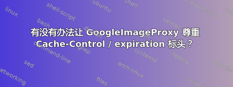 有没有办法让 GoogleImageProxy 尊重 Cache-Control / expiration 标头？