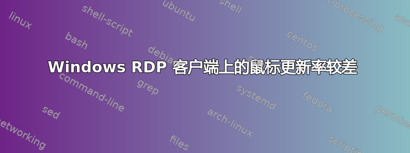 Windows RDP 客户端上的鼠标更新率较差