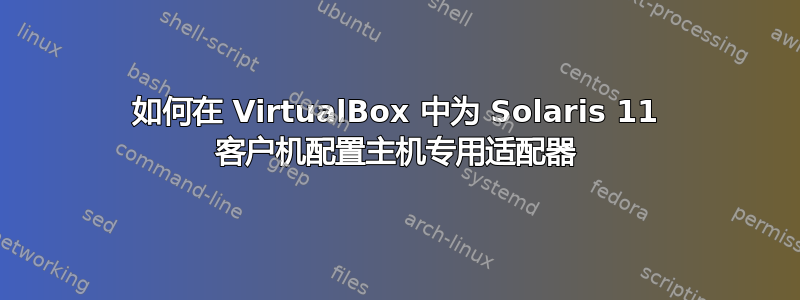 如何在 VirtualBox 中为 Solaris 11 客户机配置主机专用适配器