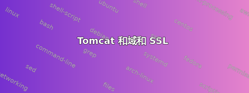 Tomcat 和域和 SSL