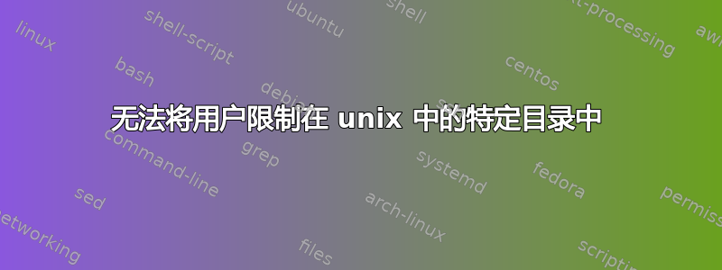 无法将用户限制在 unix 中的特定目录中