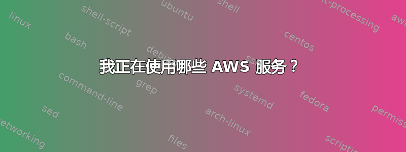 我正在使用哪些 AWS 服务？