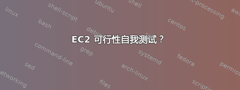 EC2 可行性自我测试？