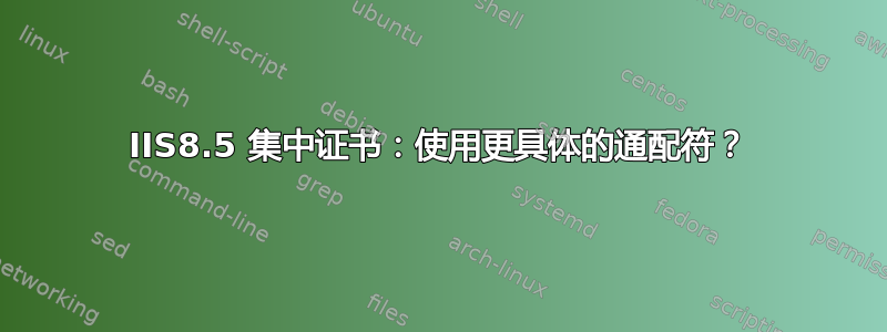 IIS8.5 集中证书：使用更具体的通配符？