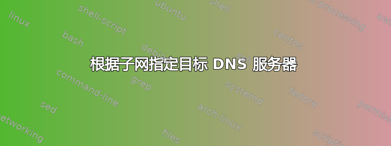 根据子网指定目标 DNS 服务器