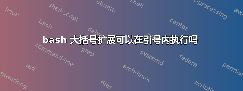 bash 大括号扩展可以在引号内执行吗