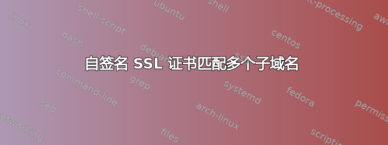 自签名 SSL 证书匹配多个子域名