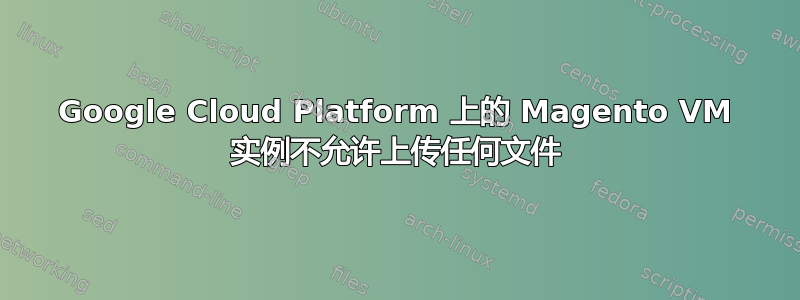 Google Cloud Platform 上的 Magento VM 实例不允许上传任何文件