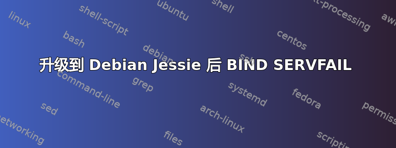 升级到 Debian Jessie 后 BIND SERVFAIL