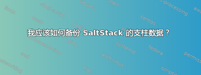 我应该如何备份 SaltStack 的支柱数据？