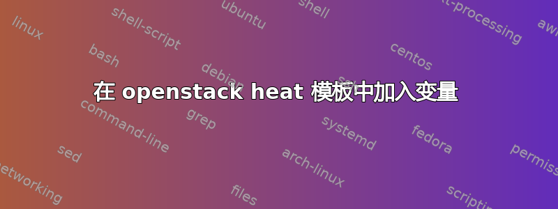 在 openstack heat 模板中加入变量