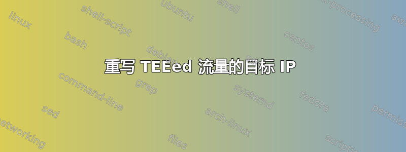 重写 TEEed 流量的目标 IP