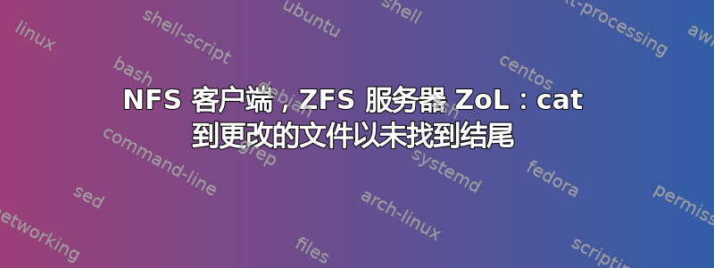 NFS 客户端，ZFS 服务器 ZoL：cat 到更改的文件以未找到结尾