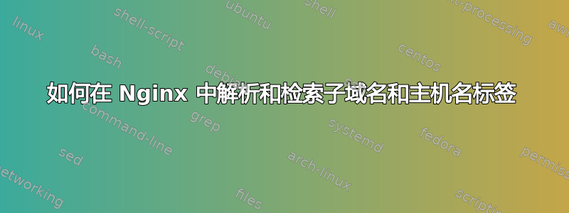 如何在 Nginx 中解析和检索子域名和主机名标签