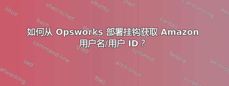 如何从 Opsworks 部署挂钩获取 Amazon 用户名/用户 ID？