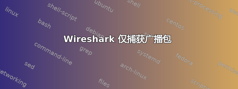 Wireshark 仅捕获广播包