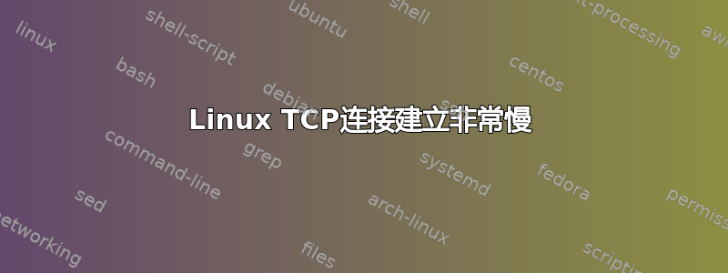 Linux TCP连接建立非常慢