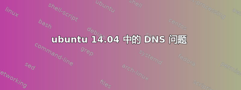 ubuntu 14.04 中的 DNS 问题