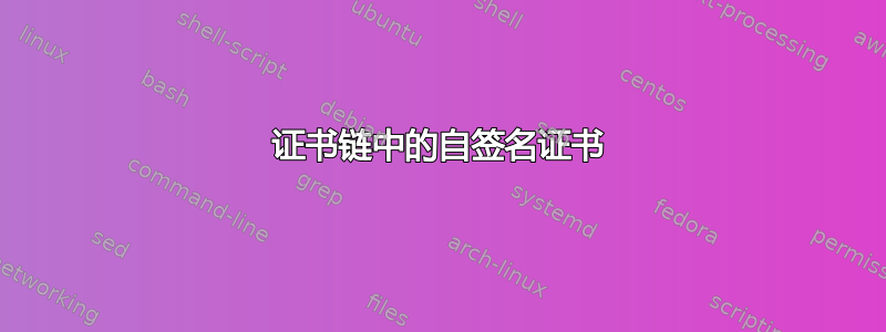 证书链中的自签名证书