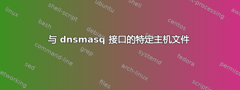 与 dnsmasq 接口的特定主机文件