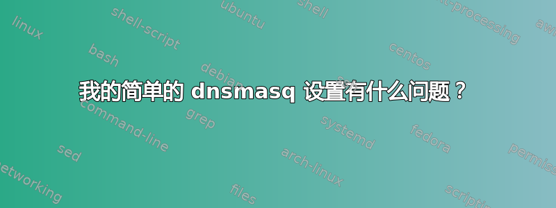 我的简单的 dnsmasq 设置有什么问题？