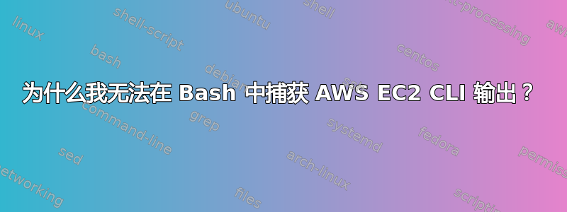 为什么我无法在 Bash 中捕获 AWS EC2 CLI 输出？