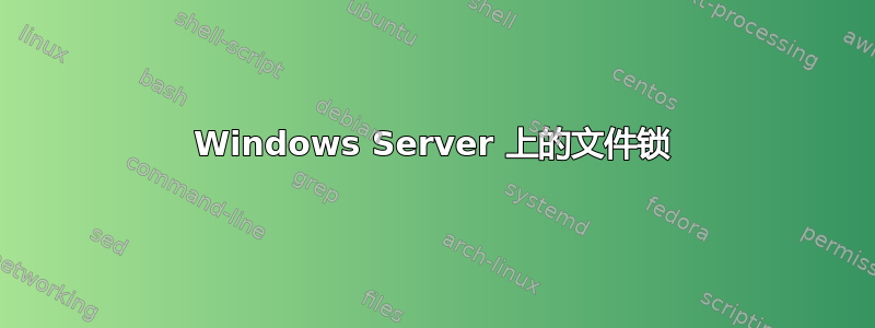 Windows Server 上的文件锁