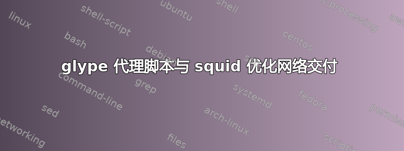 glype 代理脚本与 squid 优化网络交付